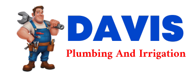 Trusted plumber in GOODHUE